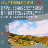 《酒香古城漫步》品味優雅波多